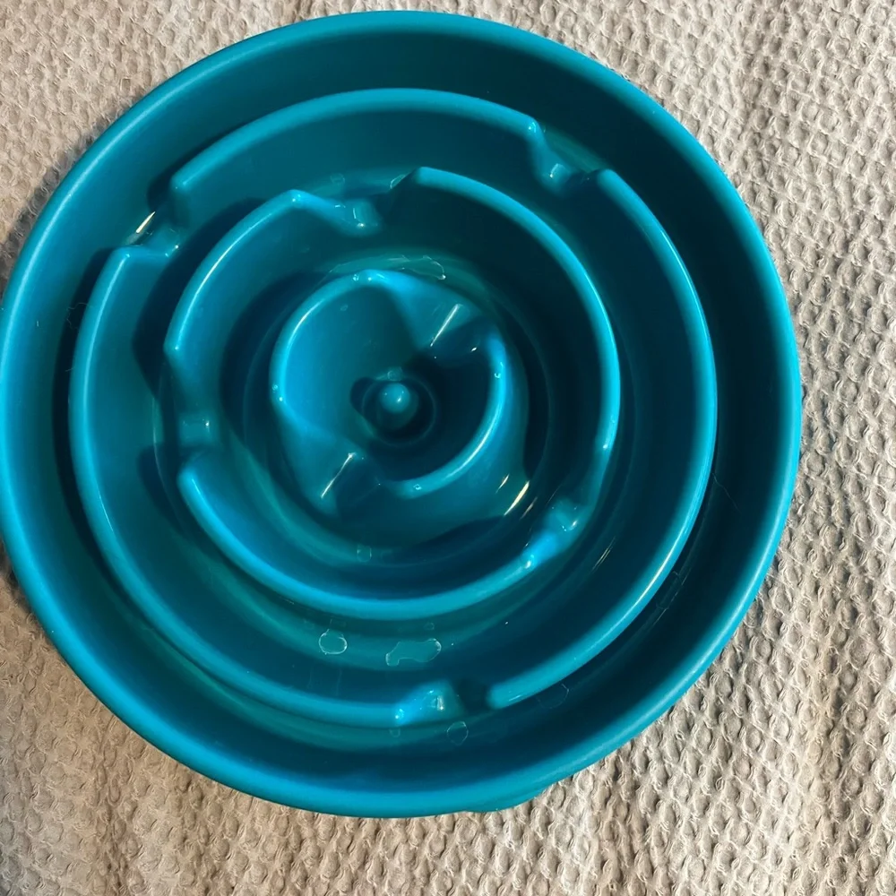 Outward Hound Fun Feeder Slo Bowl, Slow Feeder Dog Bowl Regular Turquoise